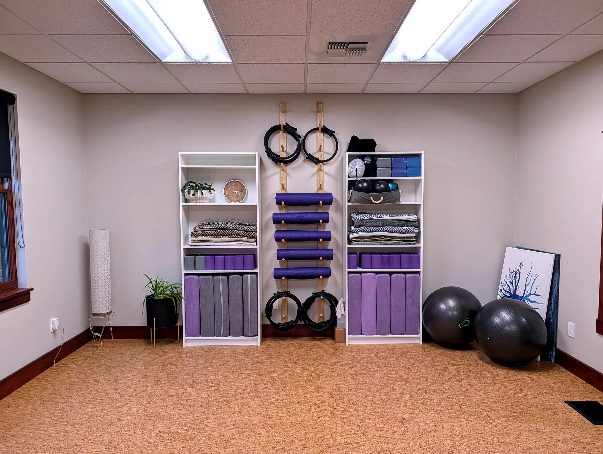 The mat Pilates studio at Root Therapy and Wellness in Bozeman, with mats, rings, and props on open shelves
